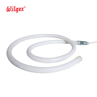 Bande LED RGB personnalisée de 1 m en PVC 24 V, tube néon flexible à 360 degrés, adressable, IP68, RGBIC, contrôleur CCT, interrupteur, pour aménagement paysager