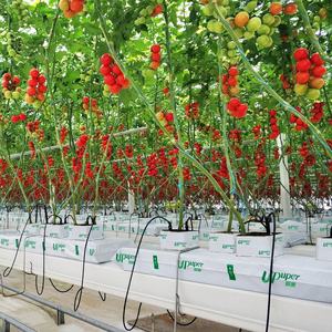 UPuper 40x8x3 pouces serres agricoles sacs de culture de tomates dalles de laine de roche hydroponique - Product Image 5