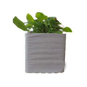 Cubes de culture de la laine de roche agricole hydroponique en laine de roche agricole - Product Image 4