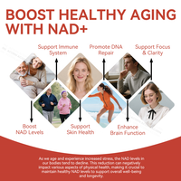 ACORN Antioxydant NAD + Boisson Orale Liquide avec PQQ Heart Support Con Resveratrol NAD Suppléments 1000mg