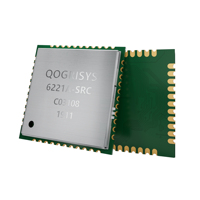 Module WiFi 5 802.11ac 1T1R SDIO 3.0 Bluetooth 5.0 double bande 2,4 GHz/5 GHz 433 Mbps RTL8821CS pour caméra IP NVR IoT