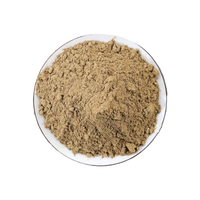 Voedingsmiddelengekeurd kruidenextract Kochia Scoparia (Kochiae) bezwier-cipresvruchtenpoeder