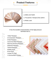 Tablero Laminado Compacto Impermeable de 12 mm, Lámina Fenólica HPL Industrial para Decoración de Vestuarios de Gimnasios, Baños Públicos y Hoteles