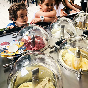 Máquina de Helado Individual de 220V50Hz, Totalmente Automática, para Hacer Helado de Frutas y Nueces Frescos, 3 en 1, con Función de Exhibición - Product Image 6
