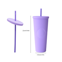 Gobelets cloutés populaires de 24oz Gobelets en plastique réutilisables pour le camping Gobelet à double paroi avec paille et couvercle