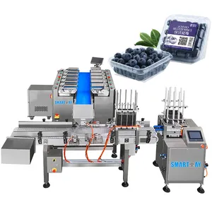 Esay operate full-automatic filing sealing weighing berries waxberry blueberry peach plum plastic box tray packing machine