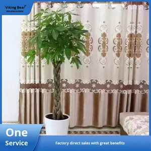 Árbol del Dinero Grande en Maceta, Planta de Interior y Exterior, Bonsái, Purificador de Aire, Decoración para Sala de Estar y Hogar - Product Image 2