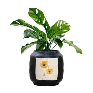 Maceta Decorativa Negra para Mesa, Hogar, Oficina, Sala de Estar, Interior, Elegante, para Plantas y Decoración de Escritorio - Product Image 3
