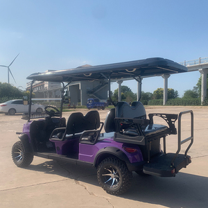 Voiture de golf tout-terrain homologuée CE, chariot de golf, buggy de golf - Product Image 4