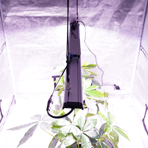 4x100W <span class=keywords><strong>de</strong></span> <span class=keywords><strong>dos</strong></span> <span class=keywords><strong>tubos</strong></span> <span class=keywords><strong>de</strong></span> espectro completo impermeable LED crecer tiras <span class=keywords><strong>de</strong></span> luz espectro para el sistema hidropónico <span class=keywords><strong>de</strong></span> inicio <span class=keywords><strong>de</strong></span> semillas - Product Image 5