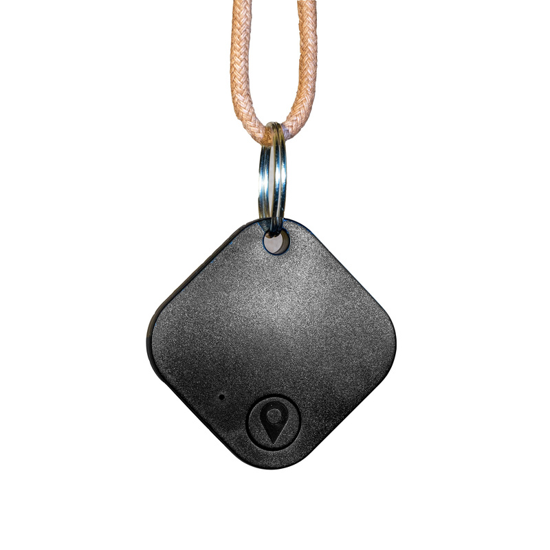 Asset Livestock Tracking Bluetooth Ear Keychain