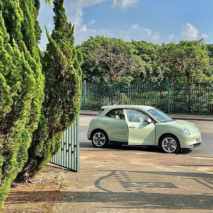Ora Bon Chat Joli Véhicule Chinois Mini EV <span class=keywords><strong>Voiture</strong></span> Longue Portée 405km Mignonne Petite <span class=keywords><strong>Voiture</strong></span> Électrique ORA Noir Électrique Ora Bon Chat - Product Image 2