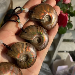 Colgante de Amolita Natural con Cordón, Collar de Concha de Fósil de Amonita Iridiscente Hecho a Mano para Mujeres y Hombres - Product Image 4