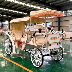 Electric Royal Horse Carriage White with Gold Trim and Canopy for Special Transportation 4-6 People 2500W Motor - Product Image 1