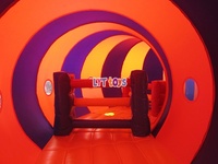Opblaasbare tunnel met aangepaste logo-kleur, Caterpillar-achtige hindernisbaan, uitdagende combo, dubbel gestikte opblaasbare assault course