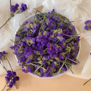 Bulk Dried Myosotis Flowers For Tea High Quality Forget-me-not Flower Tea