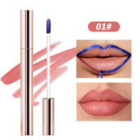Huile repulpante végane pour les lèvres, sérum amplificateur de volume, gloss en stylo, vente en gros