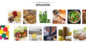 Precio de fábrica, liofilizador al vacío, maquinaria liofilizadora al vacío - Product Image 4