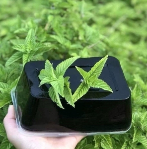 Poudre de gelée d'herbe noire à texture fine, sans granulés, pour desserts et mélanges de thé au lait à base de gelée d'herbes de qualité supérieure - Product Image 3