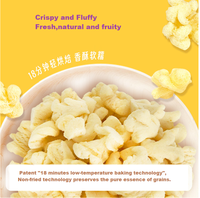 INDIAM Fournisseur direct d'usine Snacks à base de grains de maïs doux sans gluten, faibles en calories, saveur fromage, non frits, sains, goût sucré
