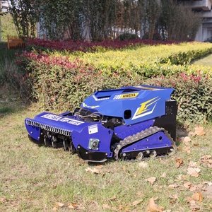 Direktverkauf ab Werk: Ferngesteuerter Schlegelmäher 800mm/1000mm Garten-Raupenmäher Rasenmäher mit CE-Zertifizierung - Product Image 4