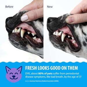 Additif buccal dentaire OEM/ODM pour chiens et chats pour maintenir la santé des dents et des gencives - Combat le tartre et la plaque - Rafraîchit l'haleine rapidement - Product Image 3