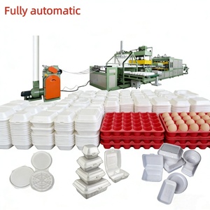 Machine de thermoformage entièrement automatique pour la fabrication de barquettes à œufs, boîtes alimentaires et assiettes jetables en mousse PS - Product Image 3