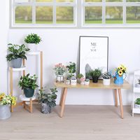 Escaliers à fleurs en bambou naturel à 3 niveaux pour plantes d'intérieur et d'extérieur, pour balcon et salon
