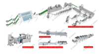 Automatische Fruitdroogmachine Gaasbanddroger Voor Rode Peper Hop Hibiscus Bloemsla Gewassen Fruit Voor Groenten
