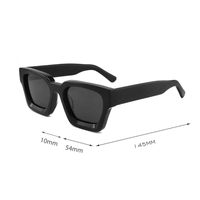Lunettes de Soleil Léopard de Luxe, Design Tendance et Épuré, Faites à la Main, Logo Personnalisé, Polarisées, Carrées, Noir, Unisexe, en Acétate, Collection 2026