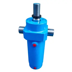 Manufacture Price High Pressure Double Action Piston Bore 100mm HSG Hydraulic Cylinder with Clevis Mounting