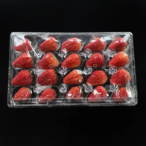 Plastic Blister Container Customization PET Plastic Packaging Clamshell Strawberries Box For Fruit Food