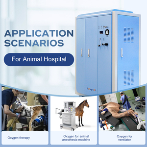 Système d'alimentation en oxygène haute pression vétérinaire générateur d'oxygène médical Psa à haut débit 20LPM pour les hôpitaux de <span class=keywords><strong>zoo</strong></span> et d'animaux - Product Image 5
