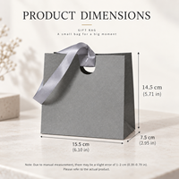 Individuelle Heißprägung Logo Sofort Lieferbare Kleine Papier-Geschenktüten mit Bandgriff für Schmuck-Boutiquen Einzelhandel Geschenkverpackung Geringe Mindestbestellmenge
