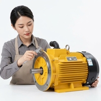 Moteur à induction triphasé IE5 à haut rendement pour compresseur YE5-132M-4-7.5kW, certifié CE EAC, à montage sur pied