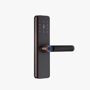 Serrure de <span class=keywords><strong>porte</strong></span> intelligente LR H9, empreinte digitale, carte IC, <span class=keywords><strong>code</strong></span> PIN, Wi-Fi, application TT, carte mémoire, acier, aluminium, déverrouillage à distance, serrure de <span class=keywords><strong>porte</strong></span> intelligente - Product Image 5