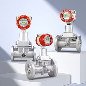 プリセッションボルテックス流量計 DN50 天然ガス、ガスアルゴン、圧縮空気用プリセッションボルテックス流量計 - Product Image 1