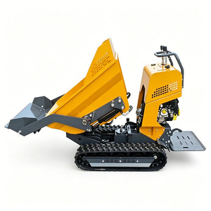 Mini-dumpers agricoles portables à chenilles, propulsion autonome, moteur Briggs & Stratton, boîte de vitesses - Product Image 2