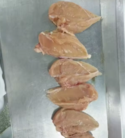 Poitrine de poulet congelée sans os ni peau, poitrine de poulet congelée à vendre, emballage en carton en vrac