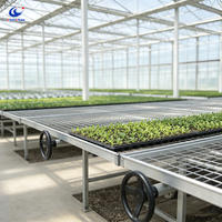Table de propagation certifiée ISO CE Chenchao avec lit de semis en treillis soudé et table de culture modulaire roulante pour herbes médicinales
