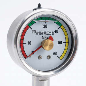 Manómetro Digital de Acero Inoxidable a Prueba de Explosiones e Impermeable, Escala Visible de 0-60Mpa, Modelo BZY60 para Uso Industrial - Product Image 2