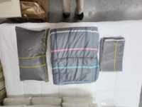 Ensemble de housse de couette de luxe, literie douce en fibre de polyester ultra-douce pour chambre à coucher, usage hôtelier, vente en gros, directement de l'usine, OEM