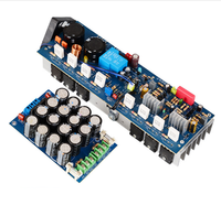 Un ensemble de cartes d'amplificateur de puissance mono 600W avec filtre A+B, double alimentation 24-35V
