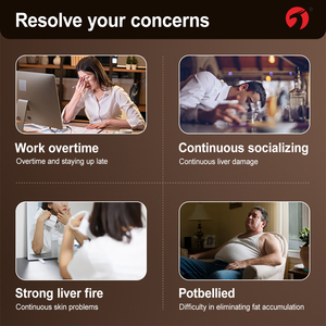 Supplément à Base de Plantes pour le Soutien de la Santé du Foie Gélule d'Extrait de Reishi Protège le Foie Détoxification Soutien Énergétique pour Renforcer l'Immunité - Product Image 3