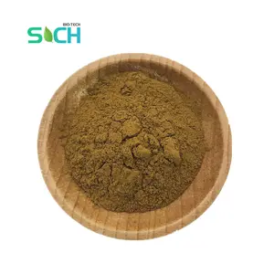 Wholesale Black Garlic Extract 10:1, 20:1 Garlic Oil Extract Allicin Powder Black Garlic Powder