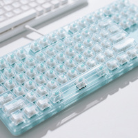 TechRexy Keycaps Kristal Transparan yang Dapat Disesuaikan, Casing Transparan, Profil MDA/OEM untuk Keyboard Mekanik 60/65/75/80/98/100%