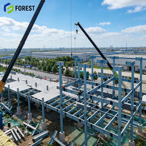 Steel Structure Parking Building Structural Galvanized Modern Style Long Span Urban Heavy Duty Commercial Reliable - Product Image 1