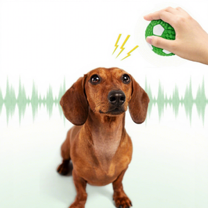 Jouet interactif pour chien SORADD, balle sonore amusante en latex, pour l'entraînement et la mastication – Vente Flash - Product Image 1