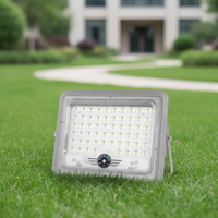 Projecteur solaire LED COB 100W étanche IP65 pour extérieur avec garantie de 2 ans, haute luminosité pour l'éclairage de jardin et de paysage