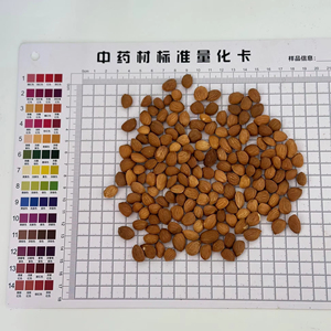 Semillas de melocotón frutos secos embalaje a granel hierba china al por mayor de alta calidad - Product Image 2